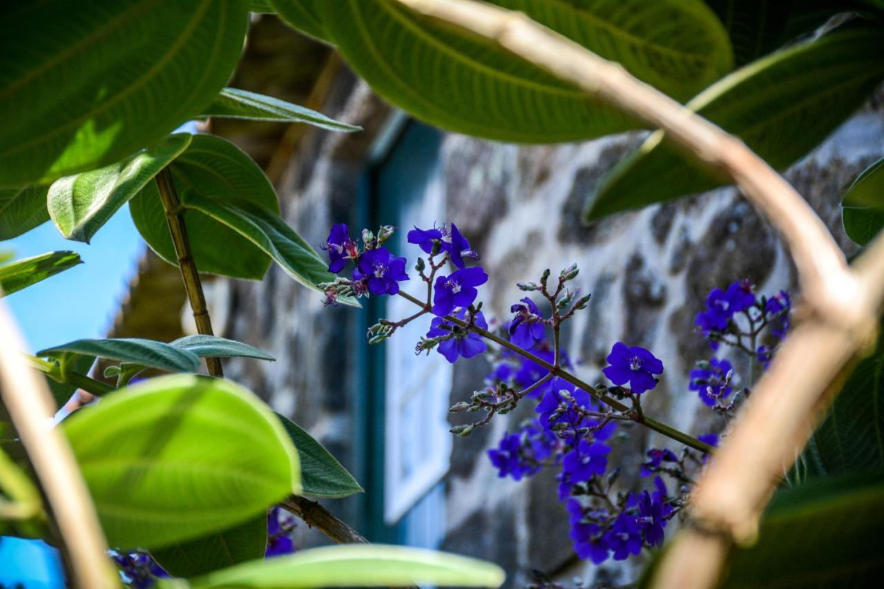 Quinta Dos Frutos Villa Santa Cruz da Graciosa Buitenkant foto