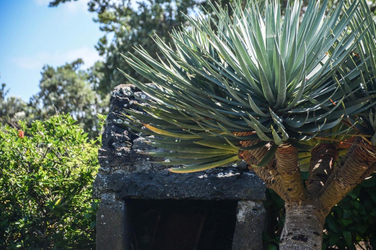 Quinta Dos Frutos Villa Santa Cruz da Graciosa Buitenkant foto